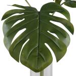Ibero Split Leaf Palm - Image 5