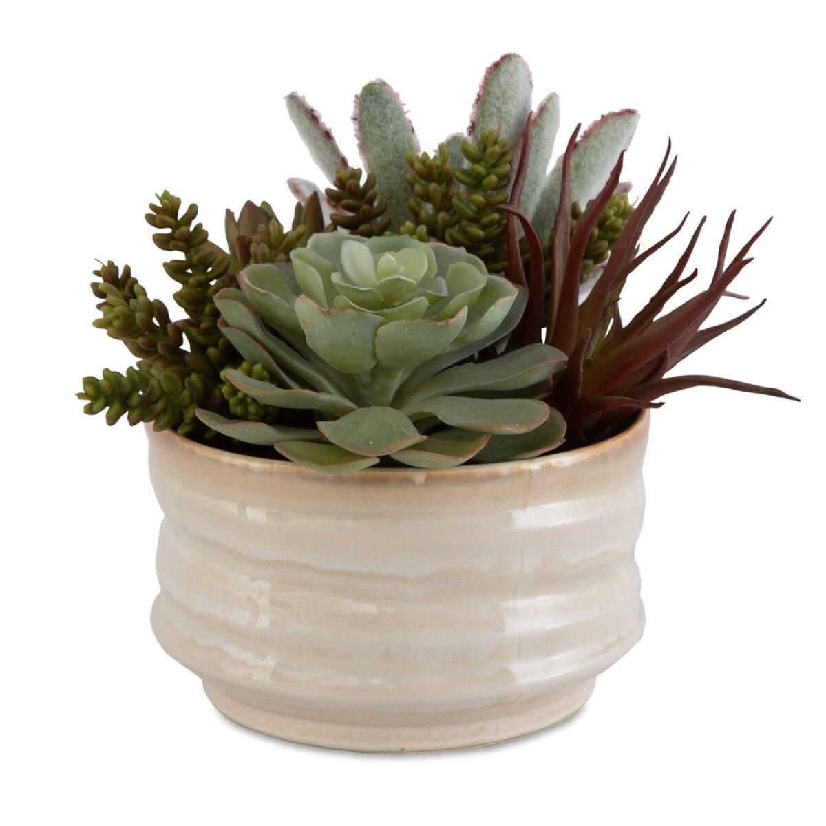 4952092f2f34ca6dc8dfde0f6cbc3103 Mesa Succulent Accent - Image 1
