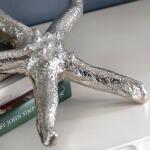 Silver Starfish - Image 5