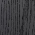 Front Range 2 Door Cabinet, Black - Image 3