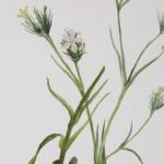 Botanical Flowers Framed Prints, S/9 - Image 6