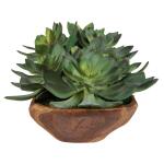 Yuma Succulent Centerpiece - Image 5
