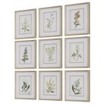 Botanical Flowers Framed Prints, S/9 - Image 5
