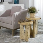 Nadette Nesting Tables, Natural, S/2 - Image 9