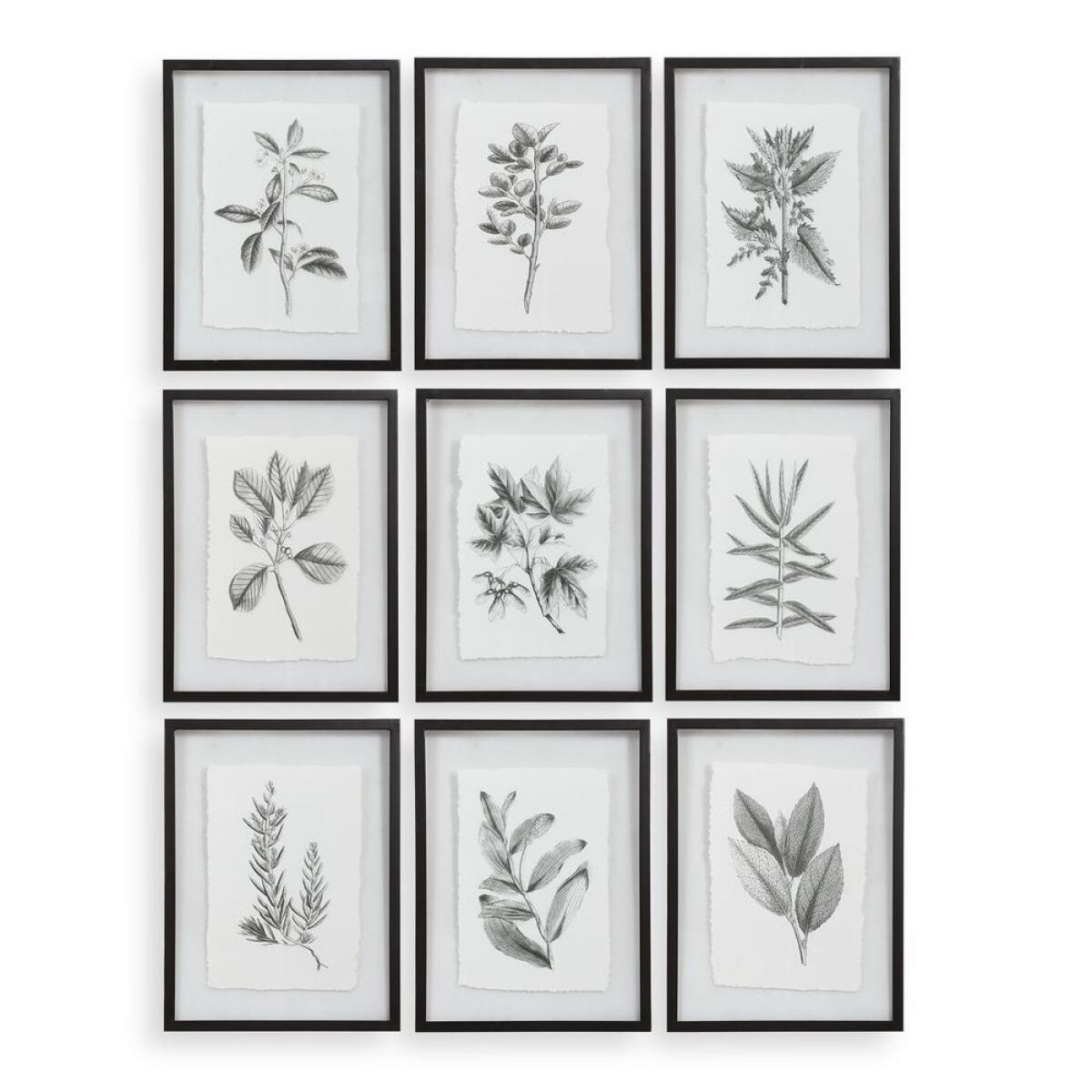 4e039471a62d988c798616a767c3f262 Farmhouse Florals Framed Prints, S/9 3 Cartons - Image 1