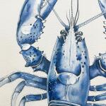 Claw & Order Art Art 7