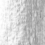 Hollen Accent Table Chairside Tables Chairside Tables 14