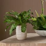 Verdure Fern - Image 2