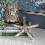 Silver Starfish - Image 6