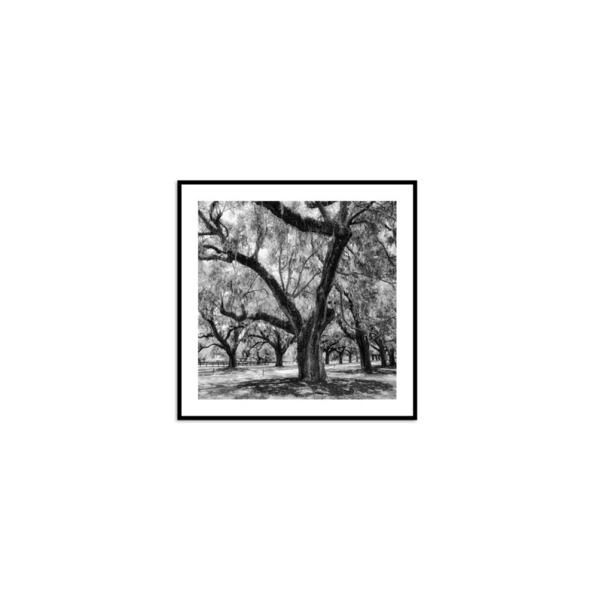550f92c2341180dc7b2d8b684e3bd3cb Among Friends - Image 1