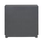 Fiore 2 Door Accent Cabinet Accent Furniture Accent Furniture 19