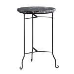 Pennington Petrified Wood Accent Table