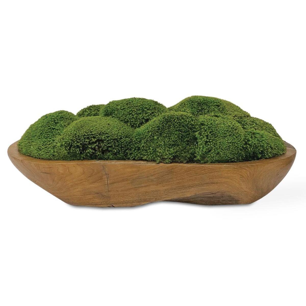 5ab59f31b805a6e0260279538111eea6 Kinsale Moss Centerpiece - Image 1