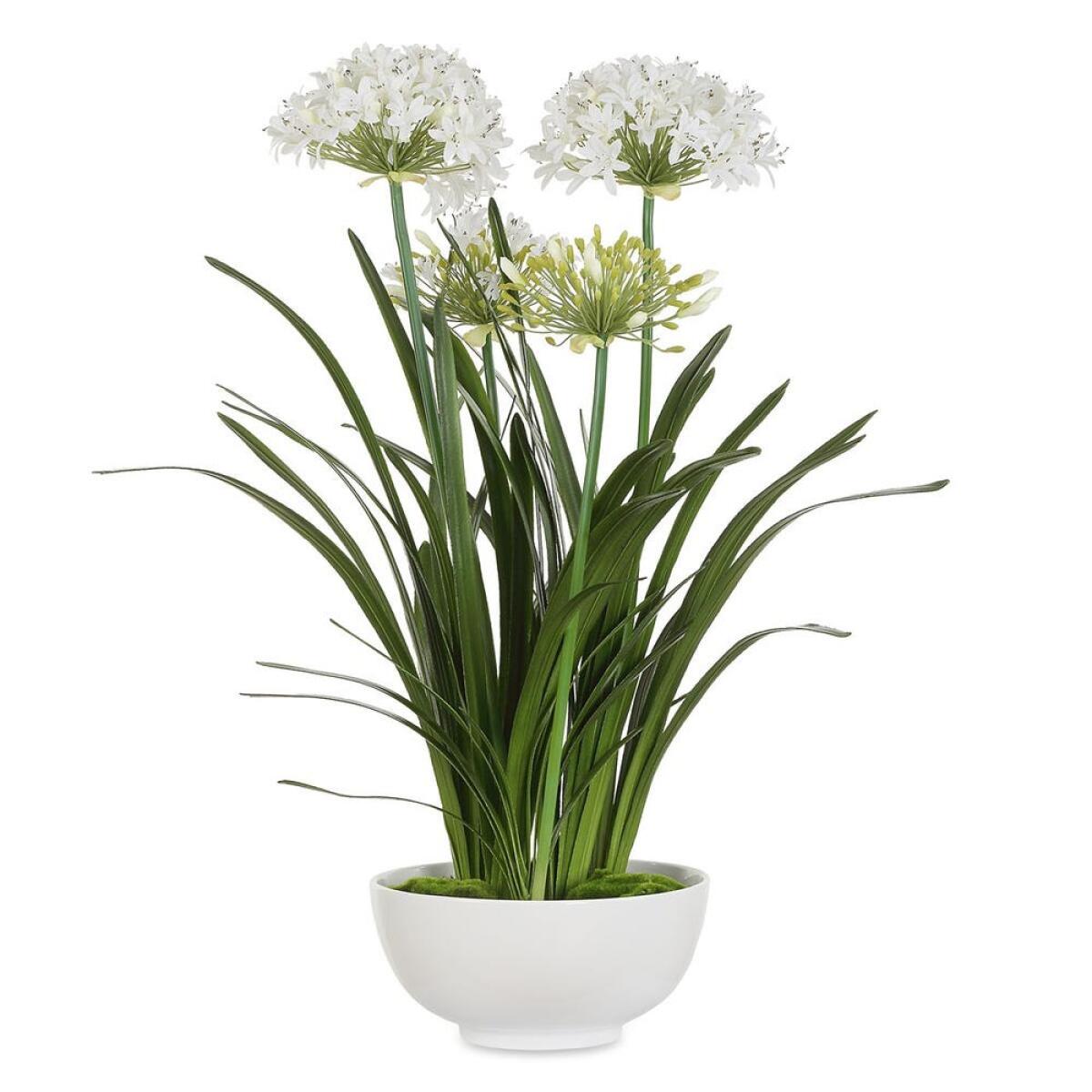 5f04469d326e6ce549d9c9a7d948973b Purity Agapanthus Centerpiece - Image 1