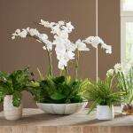 Flourish Orchid Centerpiece - Image 3