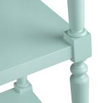 Evermore 5 Shelf Turquoise Etagere - Image 4