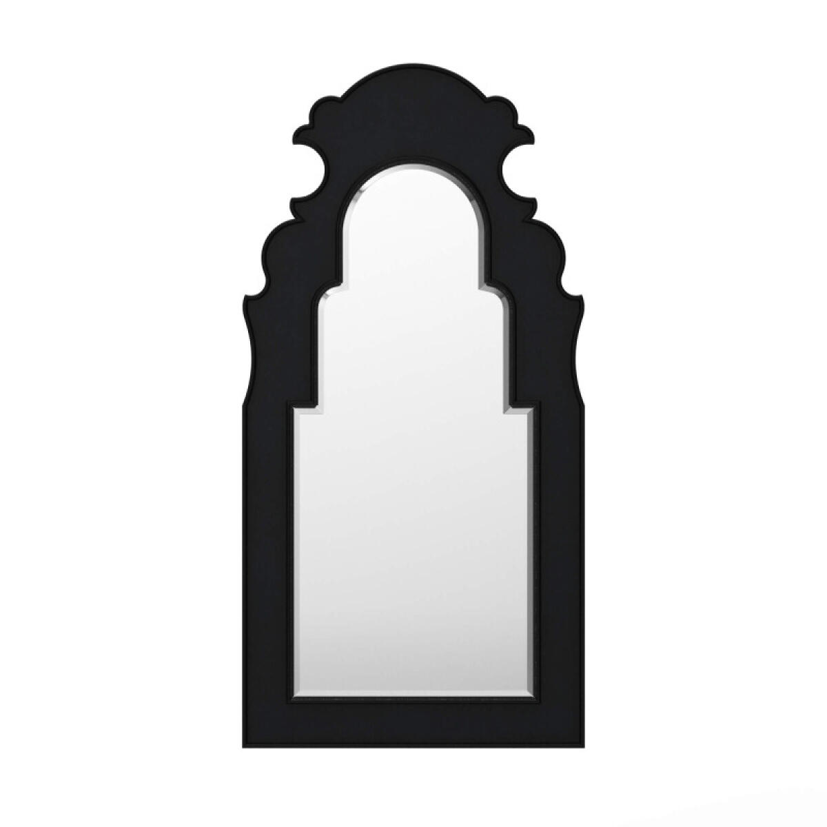 61a9292da8239f541e236bad94e9a260 Lotus Mirror - Image 1