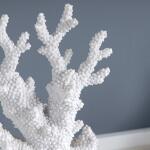 Natural Coral Statue Accessories Accessories 11