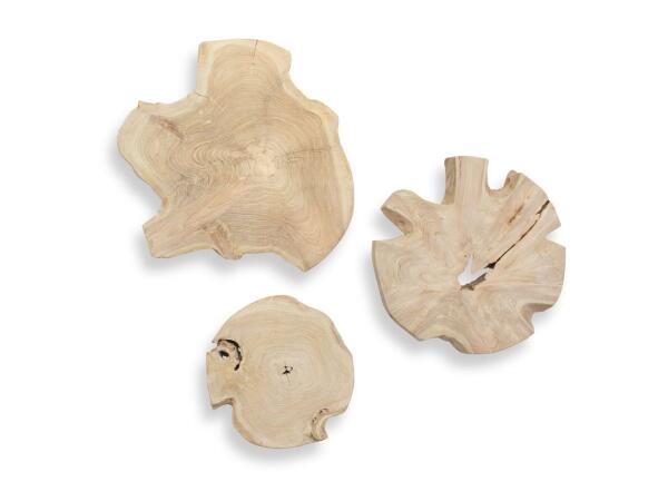 Kalani Indoor-outdoor Wall Decor, Bleached, S/3 Wall Decor Bleached