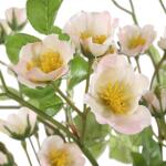 Tranquility Lenten Rose Bouquets, S/2 - Image 4