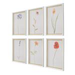 Wild Flourish Framed Prints, S/6 Art Art 12
