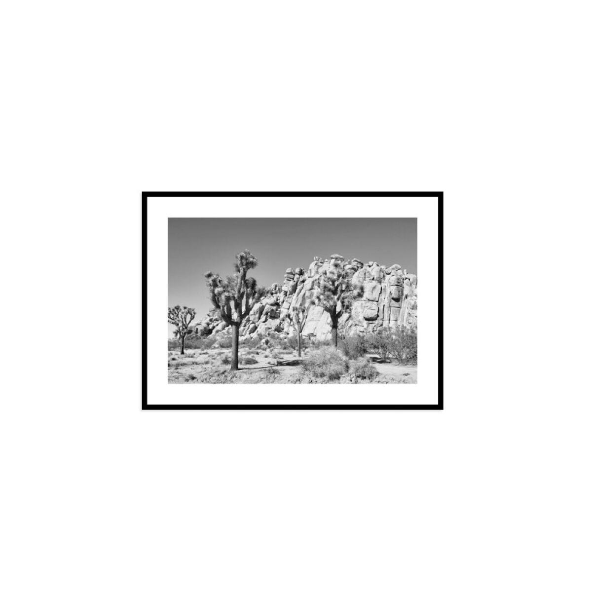 6745ffa2af1a935c26237813859092ae Joshua Tree - Image 1