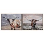 Texas Longhorns - Image 5