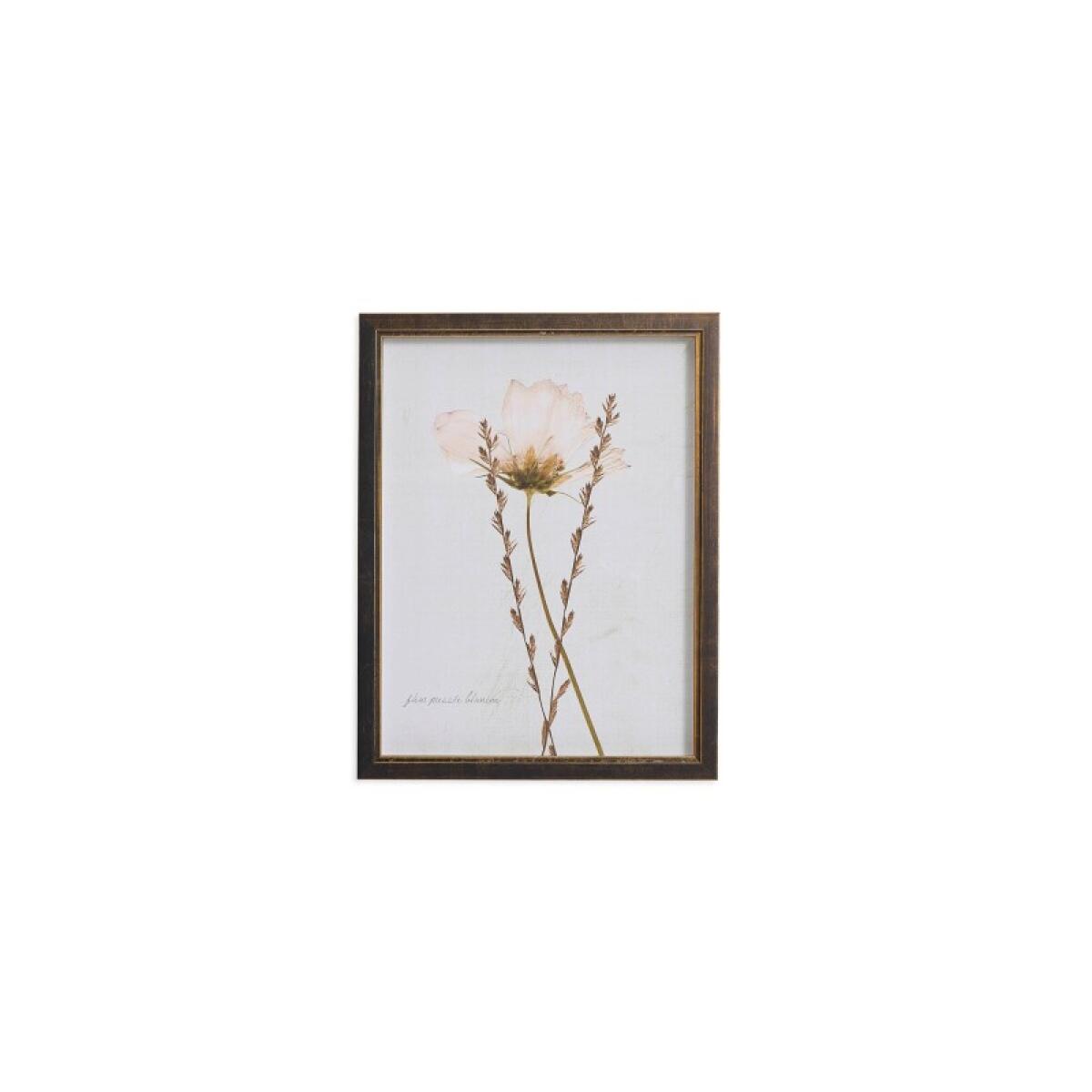 6b9f37648e883d2ffd282e39e87e8aae Sepia Pressed Wildflower II - Image 1