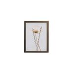 Sepia Pressed Wildflower II