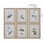Green Floral Botanical Study Framed Prints, S/6 Art Art 9