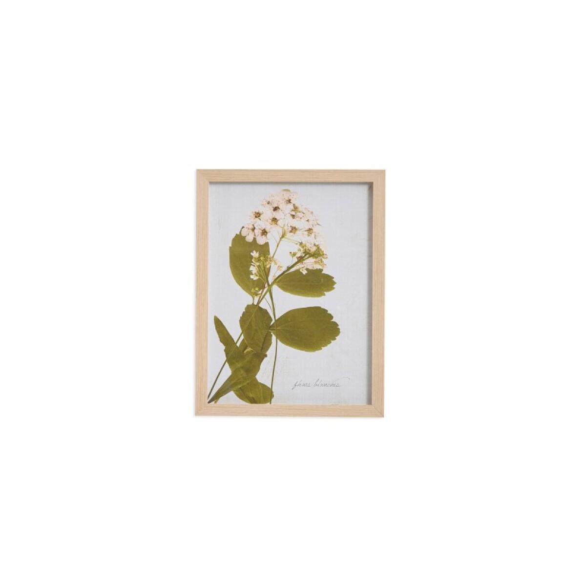 6cfdfddbe323551a71ab83641c041897 Pear Tree Blossom - Image 1