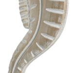 Nautical Gems Wall Decor Brown 9