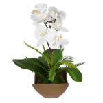 Transcend Orchid - Image 5