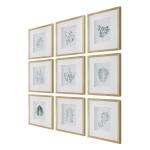 Nature's Script Framed Prints, S/9 - Image 5