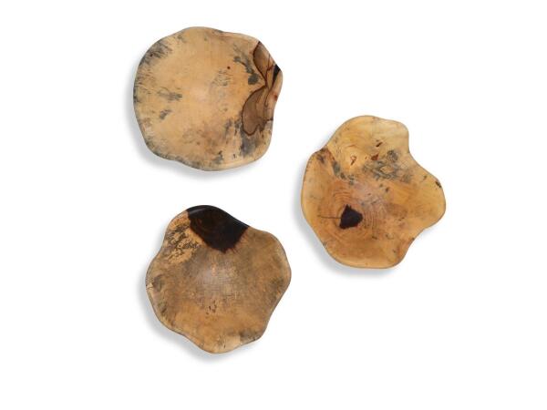 Tamarine Wood Wall Decor, S/3 Wall Decor Cream