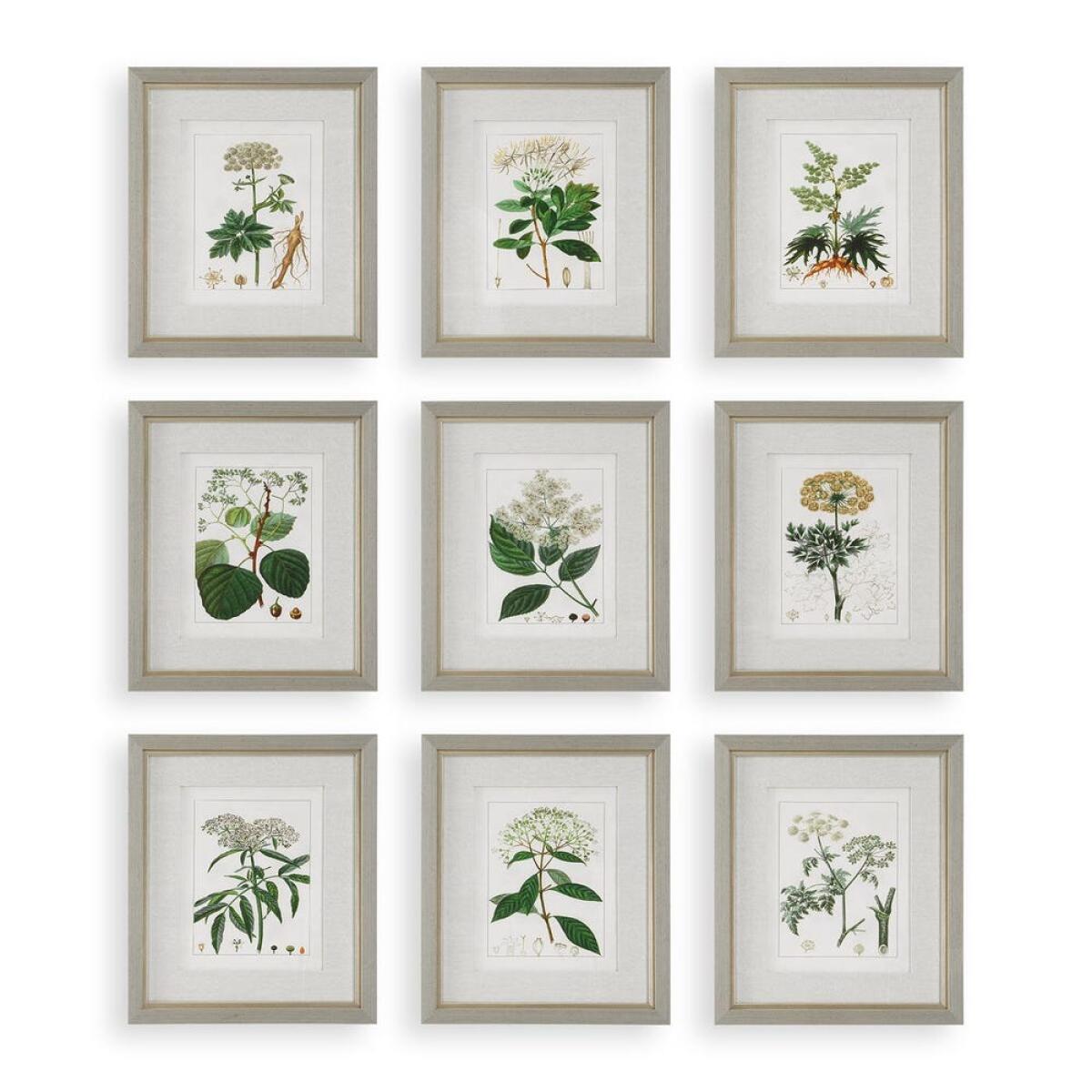 7560d65c8a67253afa1fa3eeb34ef992 Antique Botanicals Framed Prints, S/9 - Image 1