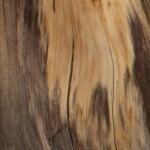 Habitat Accent Stool, Natural - Image 3