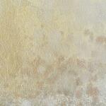 Now & Then Hand Painted Canvases, S/4 - Image 8