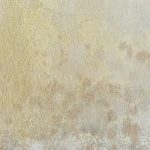 Now & Then Hand Painted Canvases, S/4 - Image 7