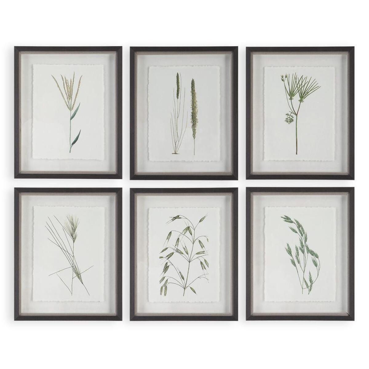 79042ca48a8f11271b5f1a95988186a5 Forest Finds Framed Prints, S/6 - Image 1