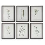 Forest Finds Framed Prints, S/6