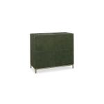 Caspian Accent Chest - Image 5