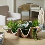 Seaside Breeze Succulents - Image 3