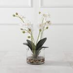 Glory Orchid, White - Image 7