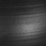 Bower Vases, S/2 Accessories Accessories 13