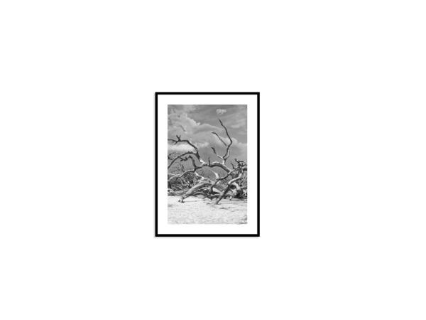 Jekyll Island Wall Decor Bassett Furniture