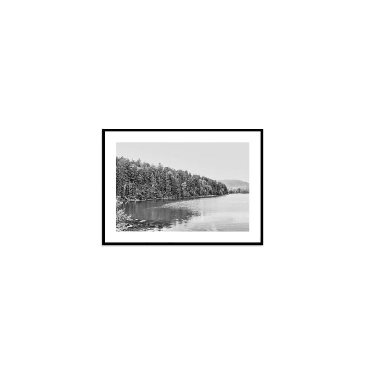 7f5a1269f53c150e6043862257825a92 Acadia Tree Line - Image 1