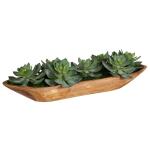 Yuma Succulent Centerpiece - Image 4