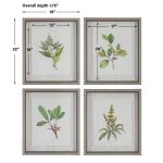 Wildflower Study Framed Prints, S/4 - Image 8
