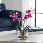Glory Orchid, Fuschia Accessories Accessories 14